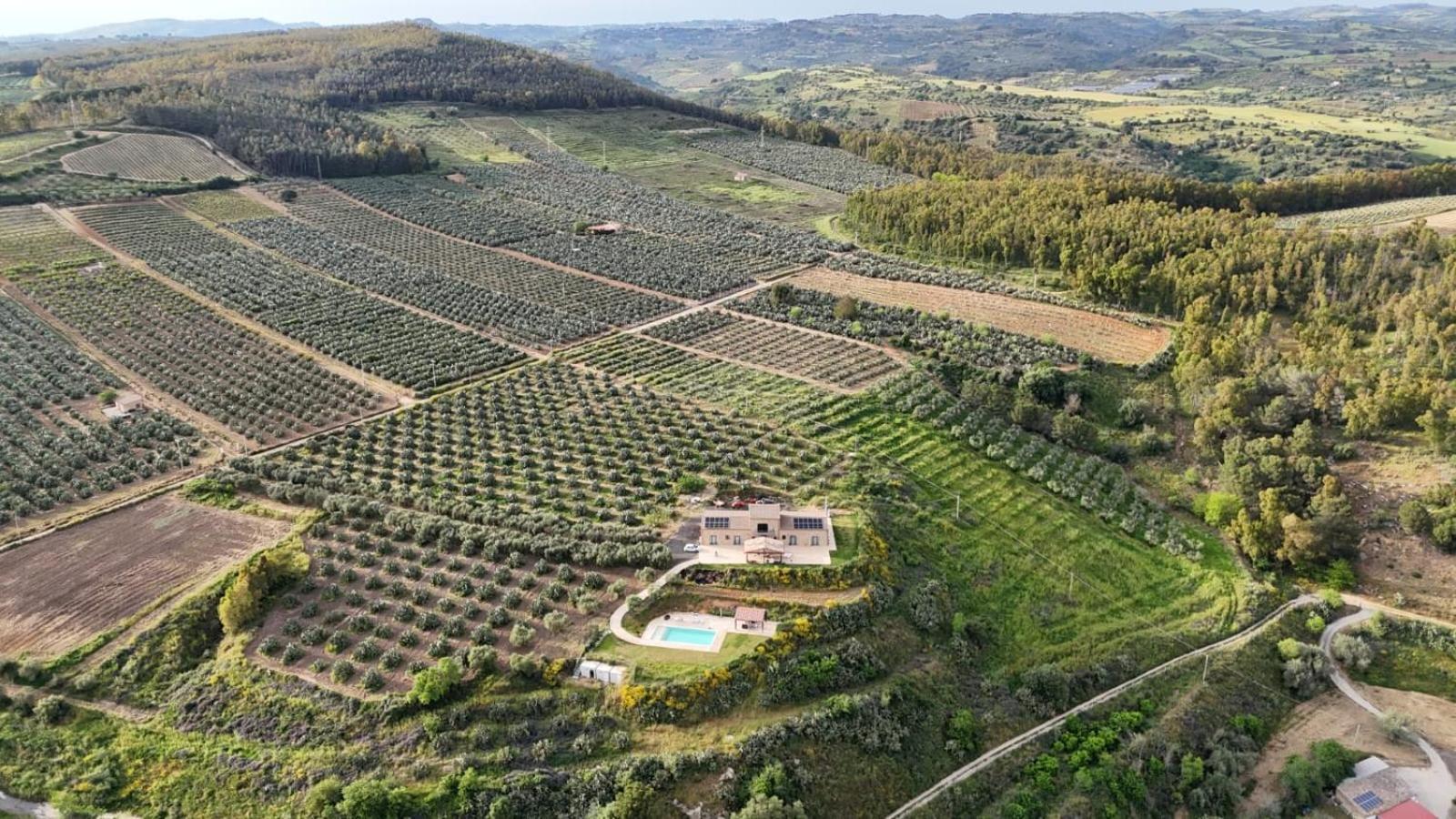 Villa Virginia Piazza Armerina Exteriér fotografie